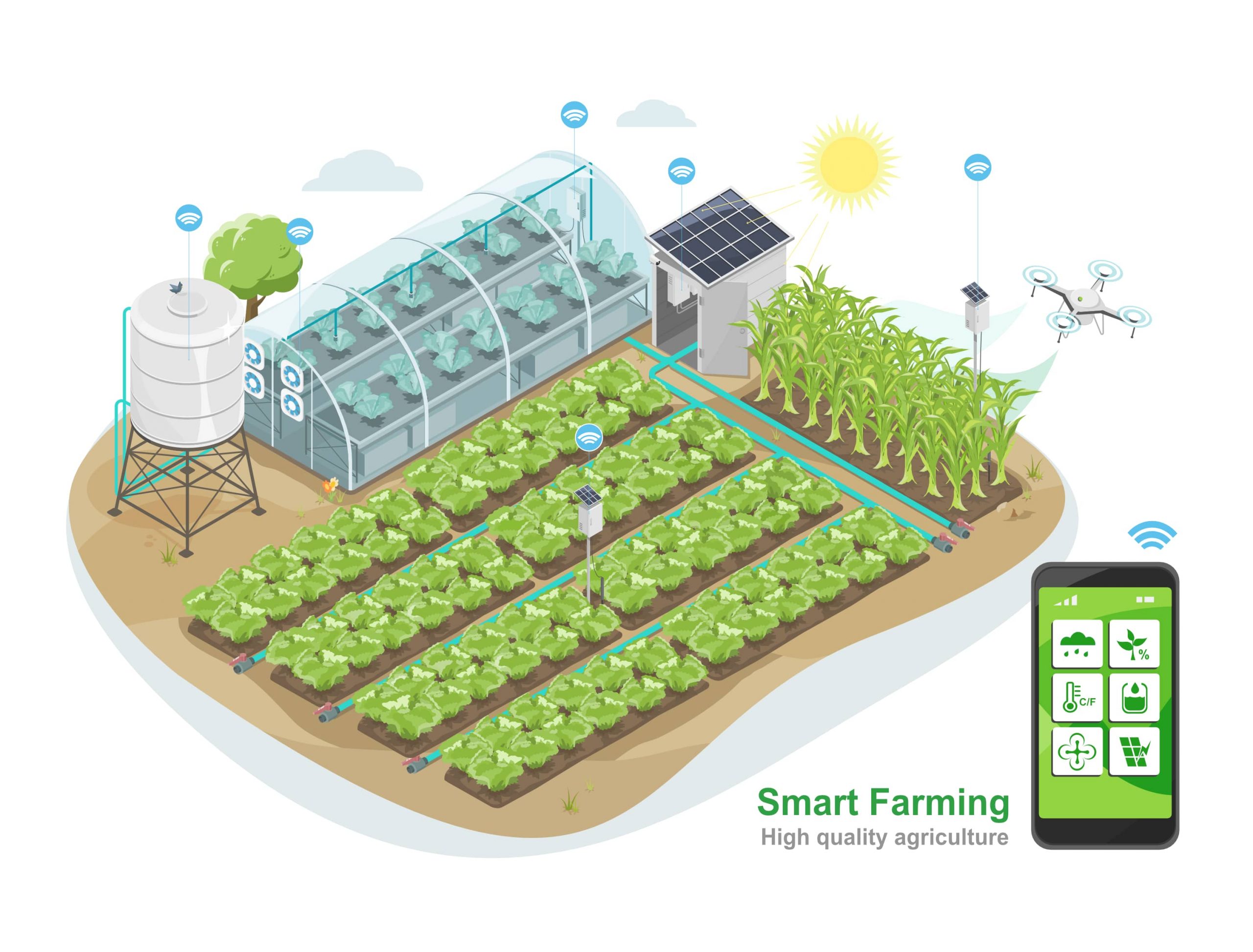 Core IoT Capabilities for 
agriculture