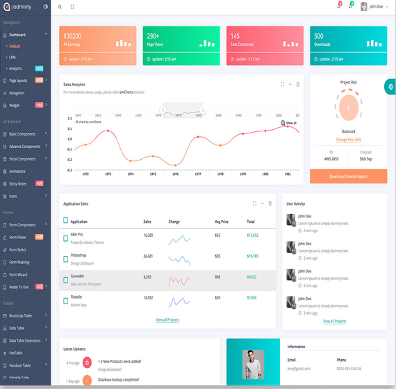 Custom CMS development dashboard interface