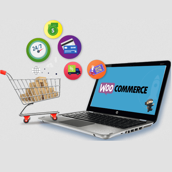 WordPress maintenance company